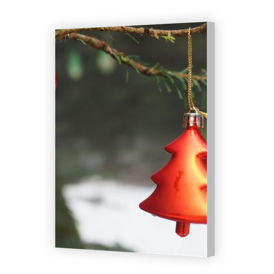 Thumbnail for Canvas - Coloured Canvas Wrap