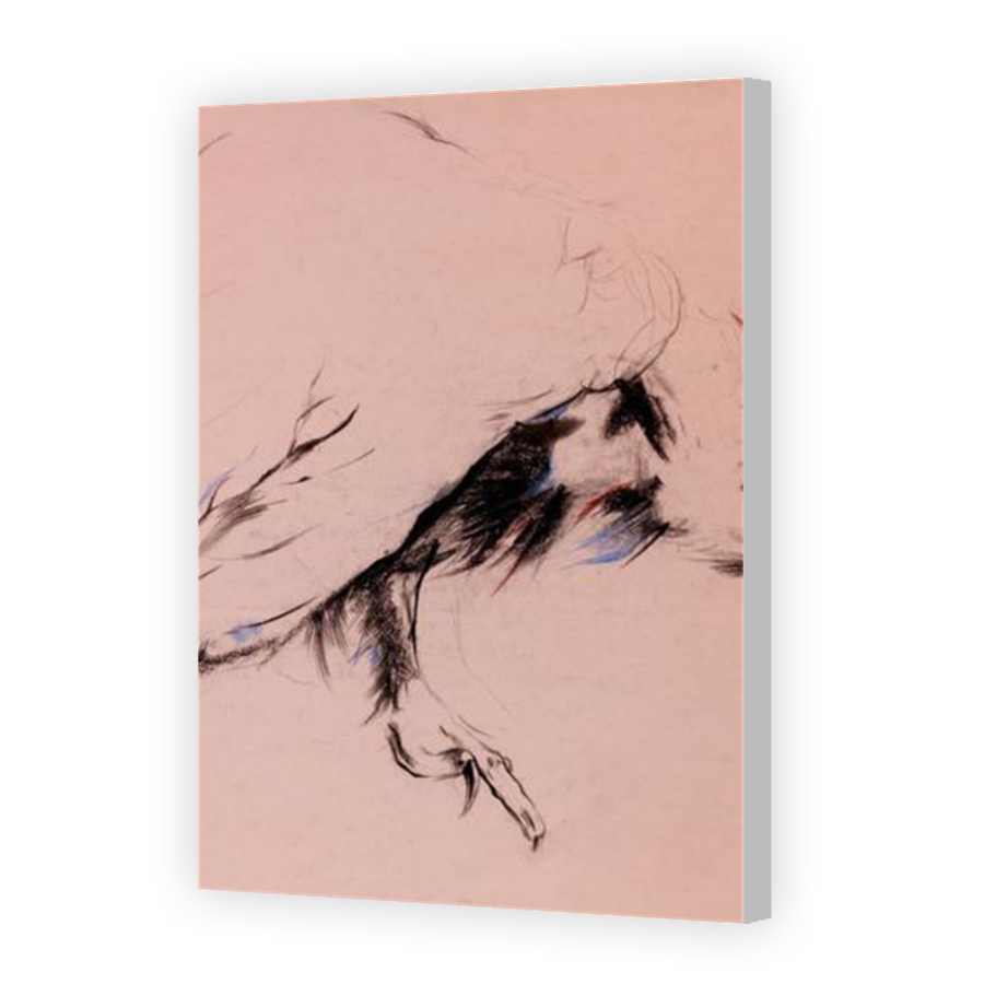 Thumbnail for Canvas - Coloured Canvas Wrap