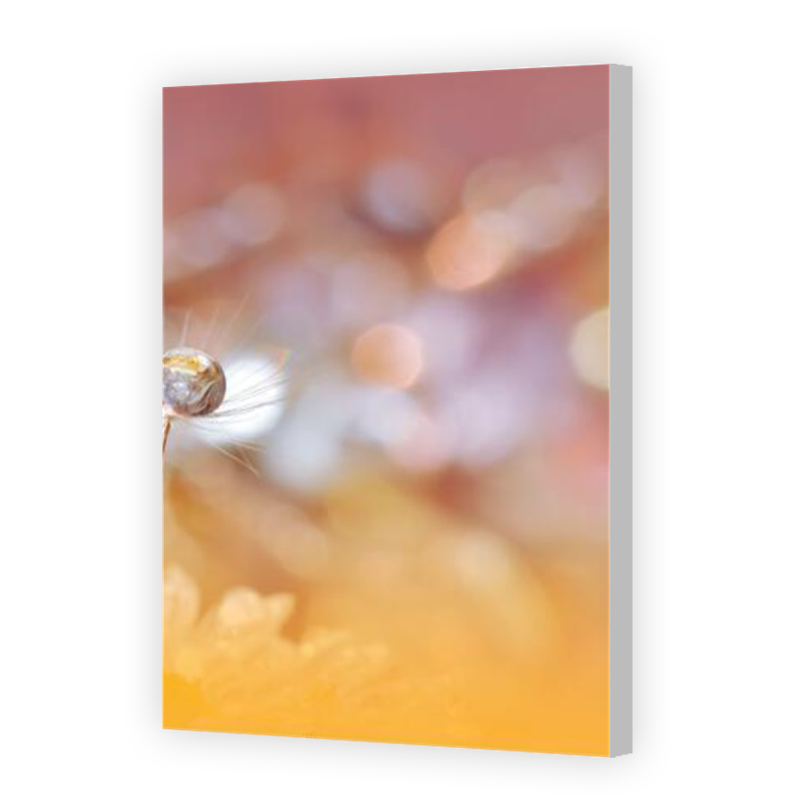 Thumbnail for Canvas - Coloured Canvas Wrap