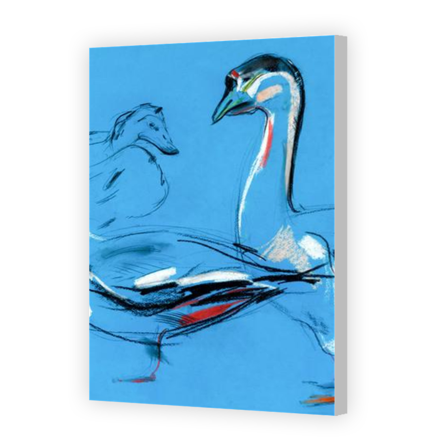 Thumbnail for Canvas - Coloured Canvas Wrap