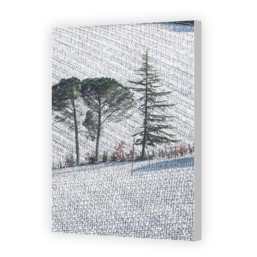 Thumbnail for Canvas - Coloured Canvas Wrap
