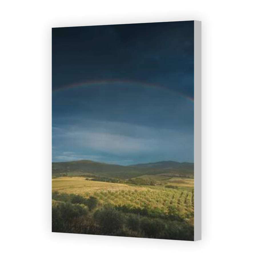 Thumbnail for Canvas - Coloured Canvas Wrap