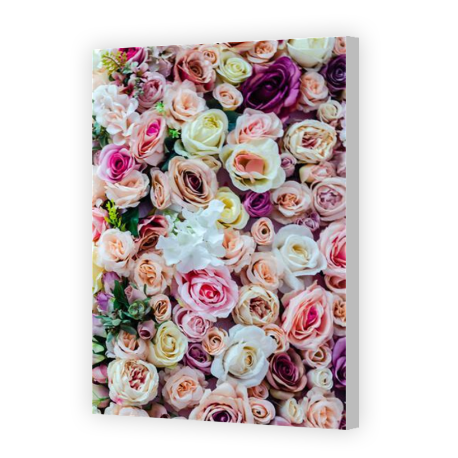 Thumbnail for Canvas - Coloured Canvas Wrap
