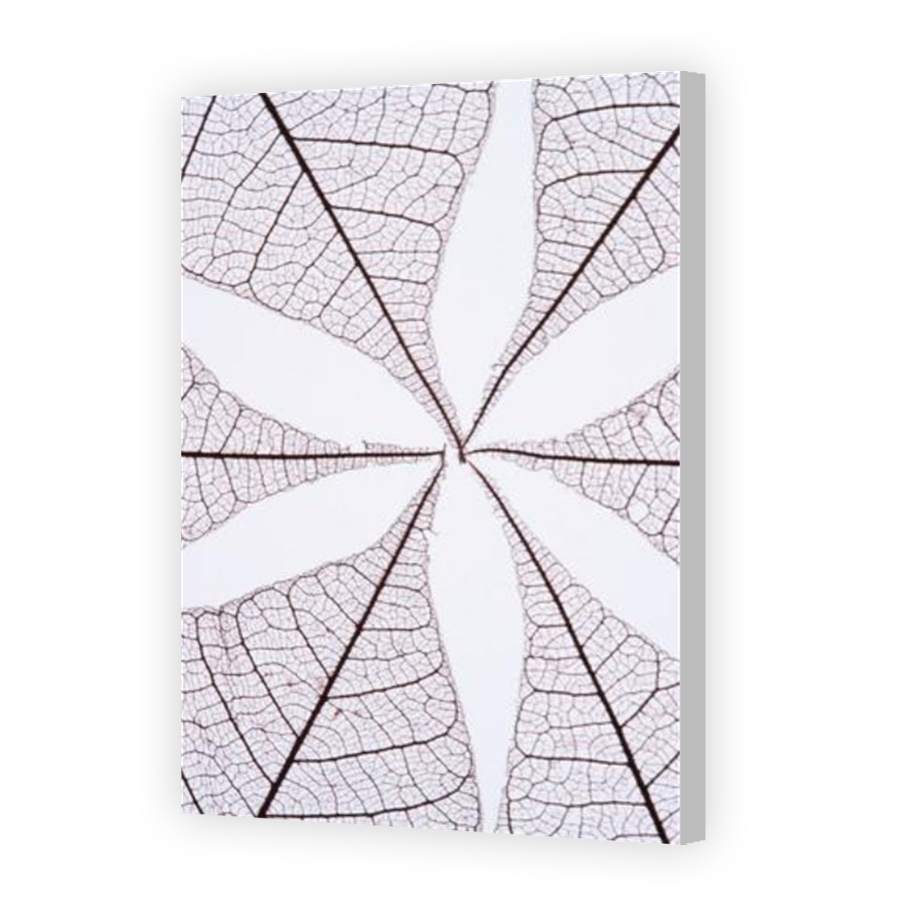 Thumbnail for Canvas - Coloured Canvas Wrap