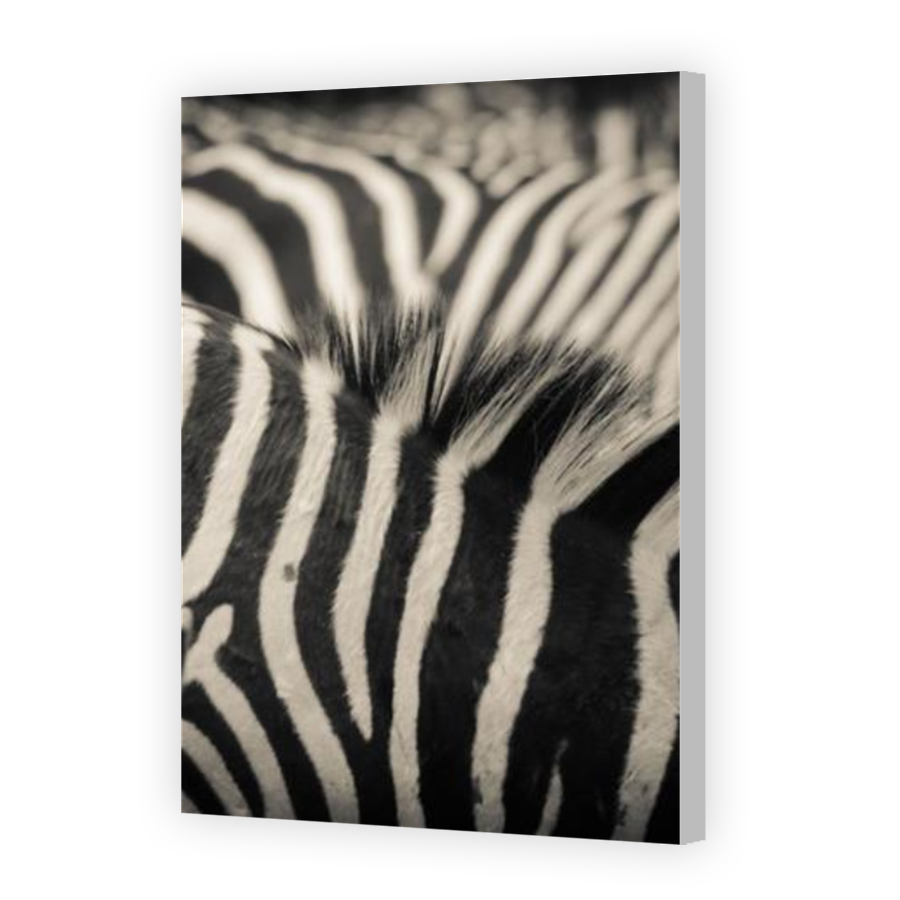 Thumbnail for Canvas - Coloured Canvas Wrap