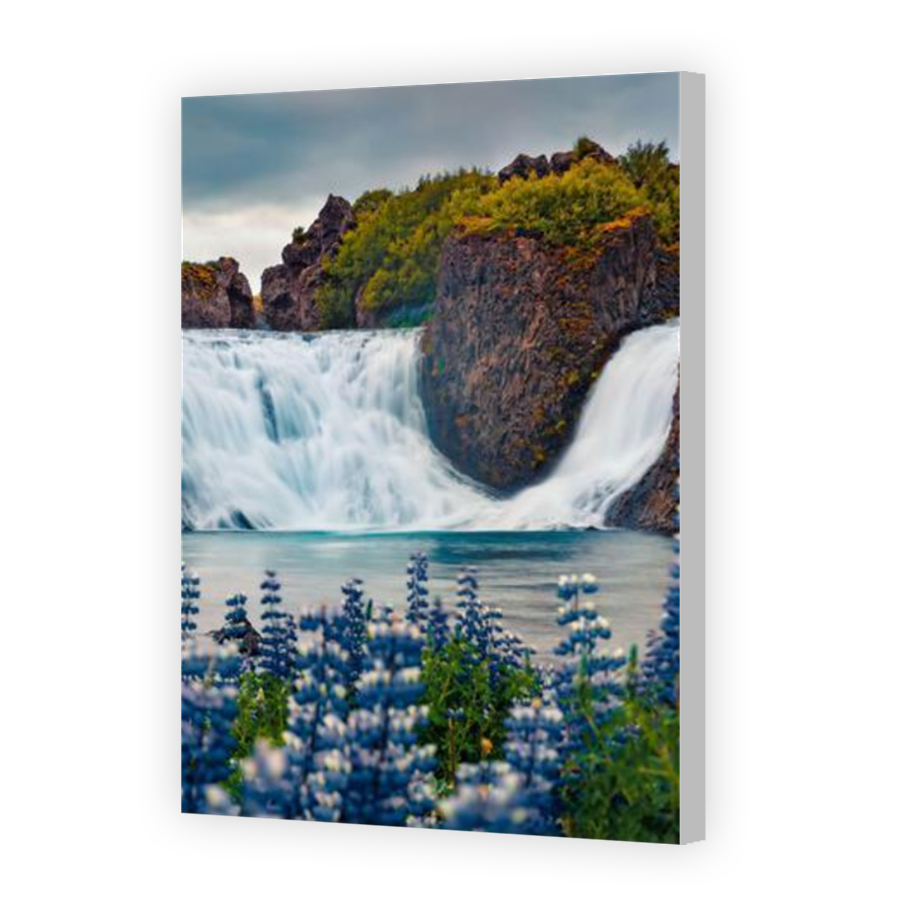 Thumbnail for Canvas - Coloured Canvas Wrap