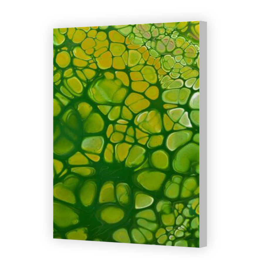 Thumbnail for Canvas - Coloured Canvas Wrap