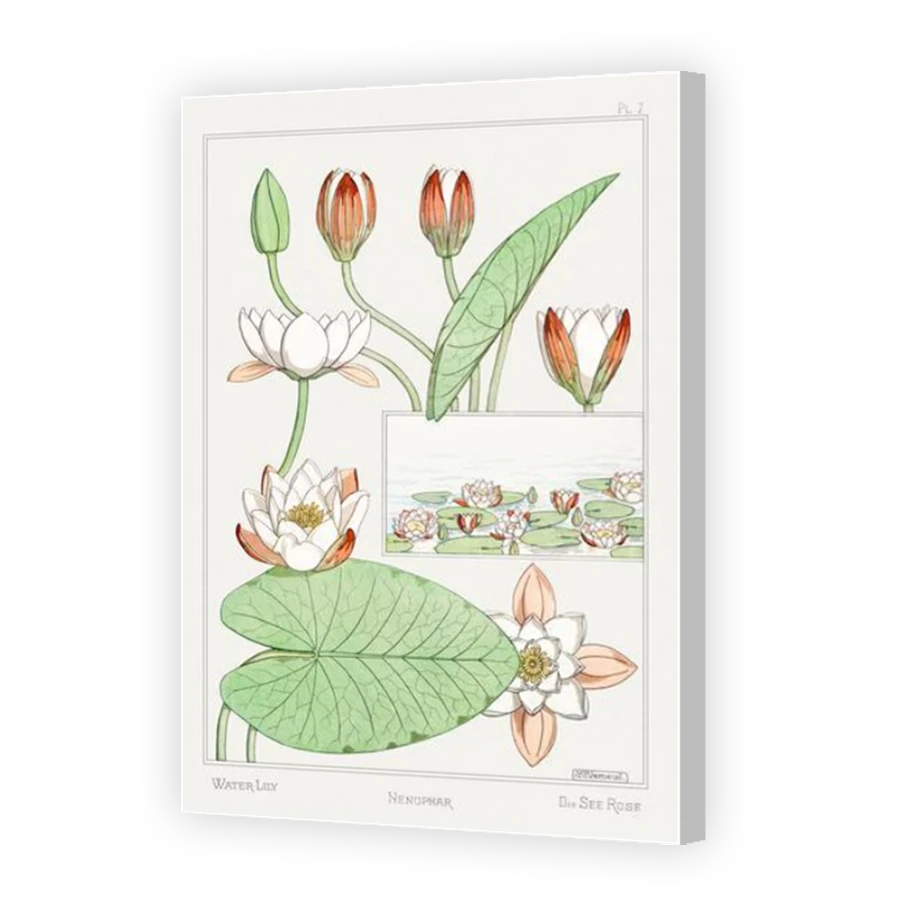 Thumbnail for Canvas - Coloured Canvas Wrap