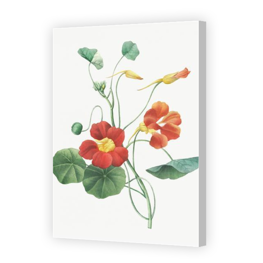 Thumbnail for Canvas - Coloured Canvas Wrap