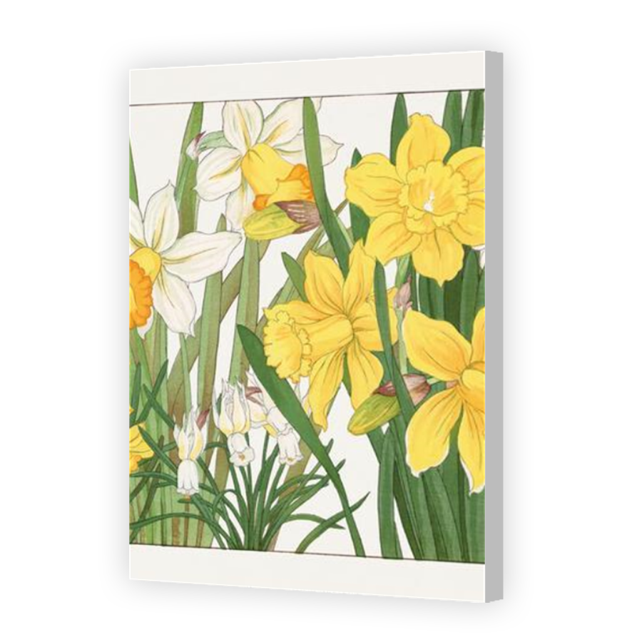 Thumbnail for Canvas - Coloured Canvas Wrap