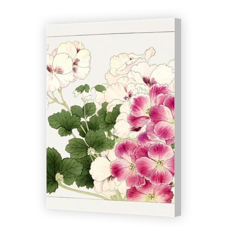 Thumbnail for Canvas - Coloured Canvas Wrap