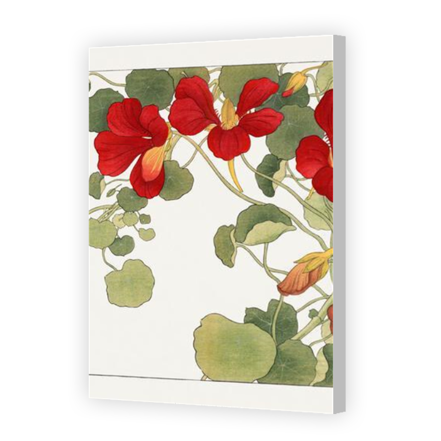 Thumbnail for Canvas - Coloured Canvas Wrap