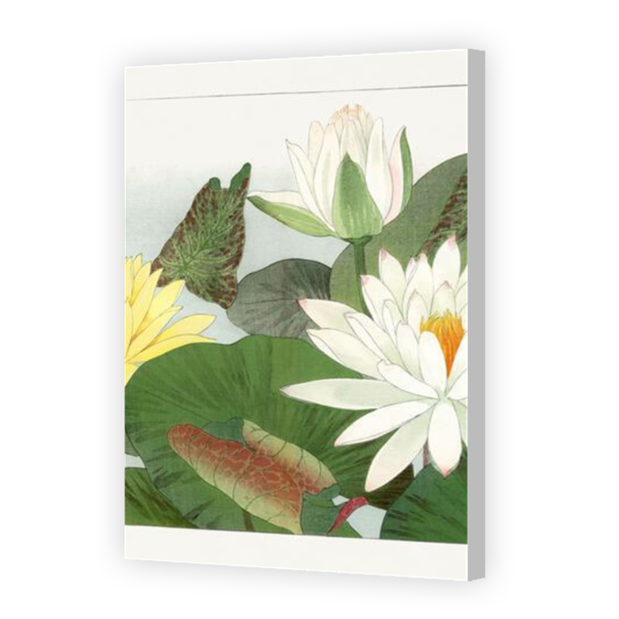 Thumbnail for Canvas - Coloured Canvas Wrap