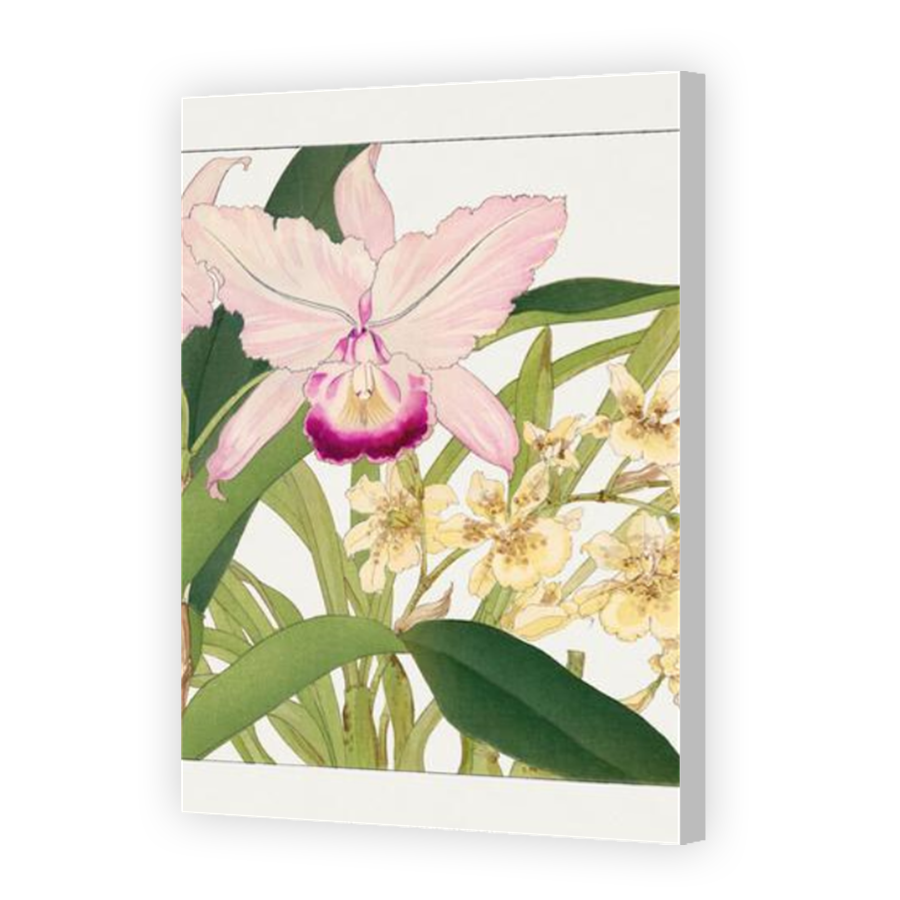 Thumbnail for Canvas - Coloured Canvas Wrap