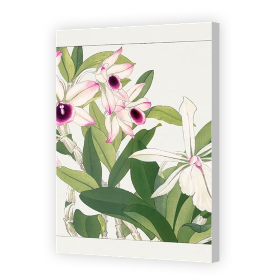 Thumbnail for Canvas - Coloured Canvas Wrap