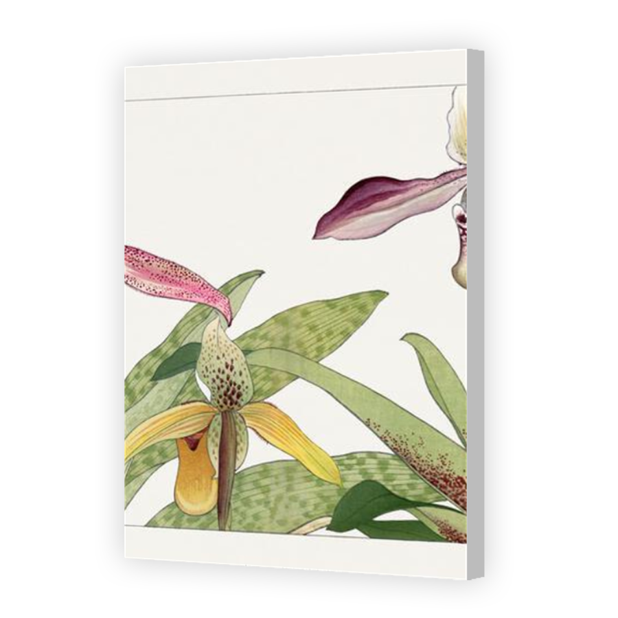 Thumbnail for Canvas - Coloured Canvas Wrap