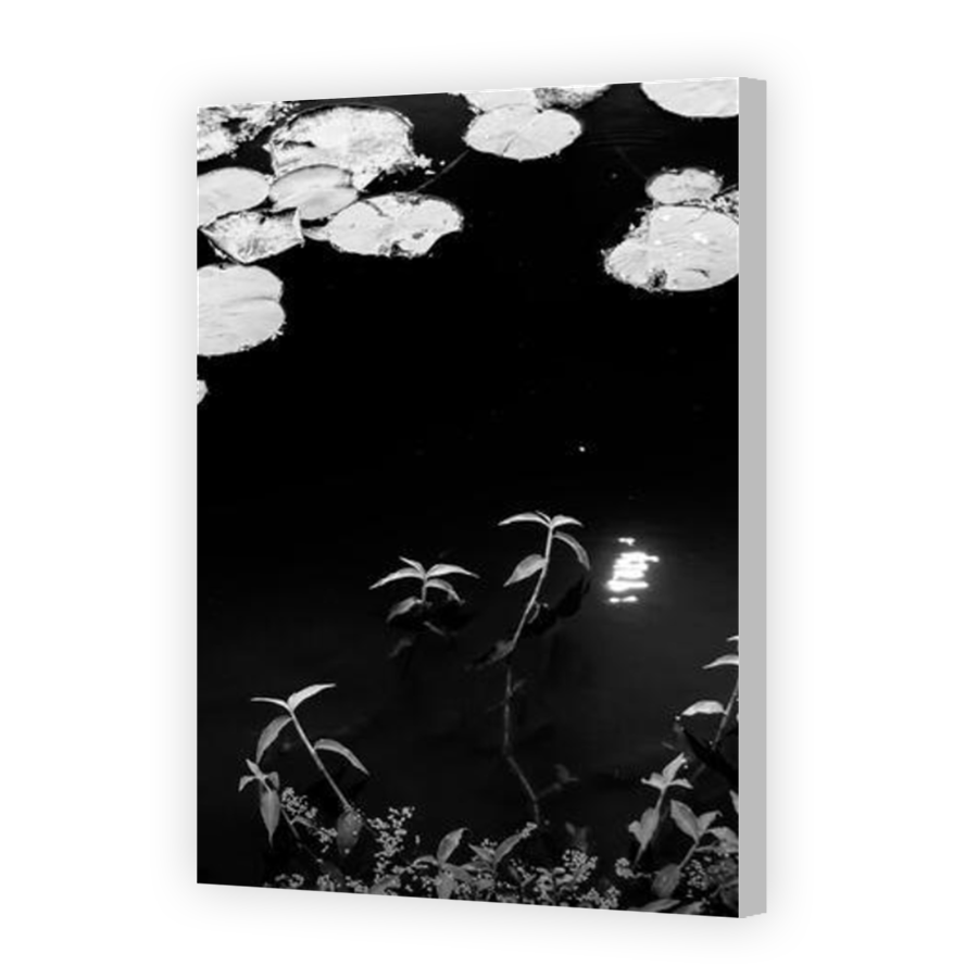 Thumbnail for Canvas - Coloured Canvas Wrap