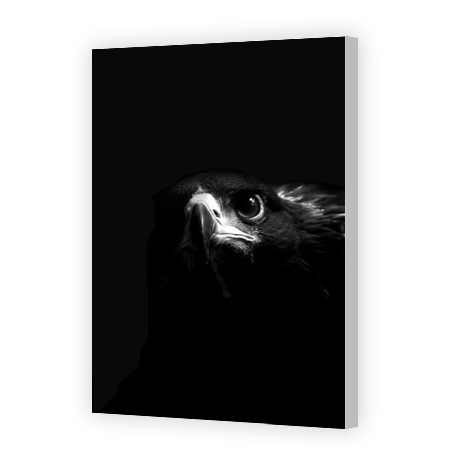 Thumbnail for Canvas - Coloured Canvas Wrap
