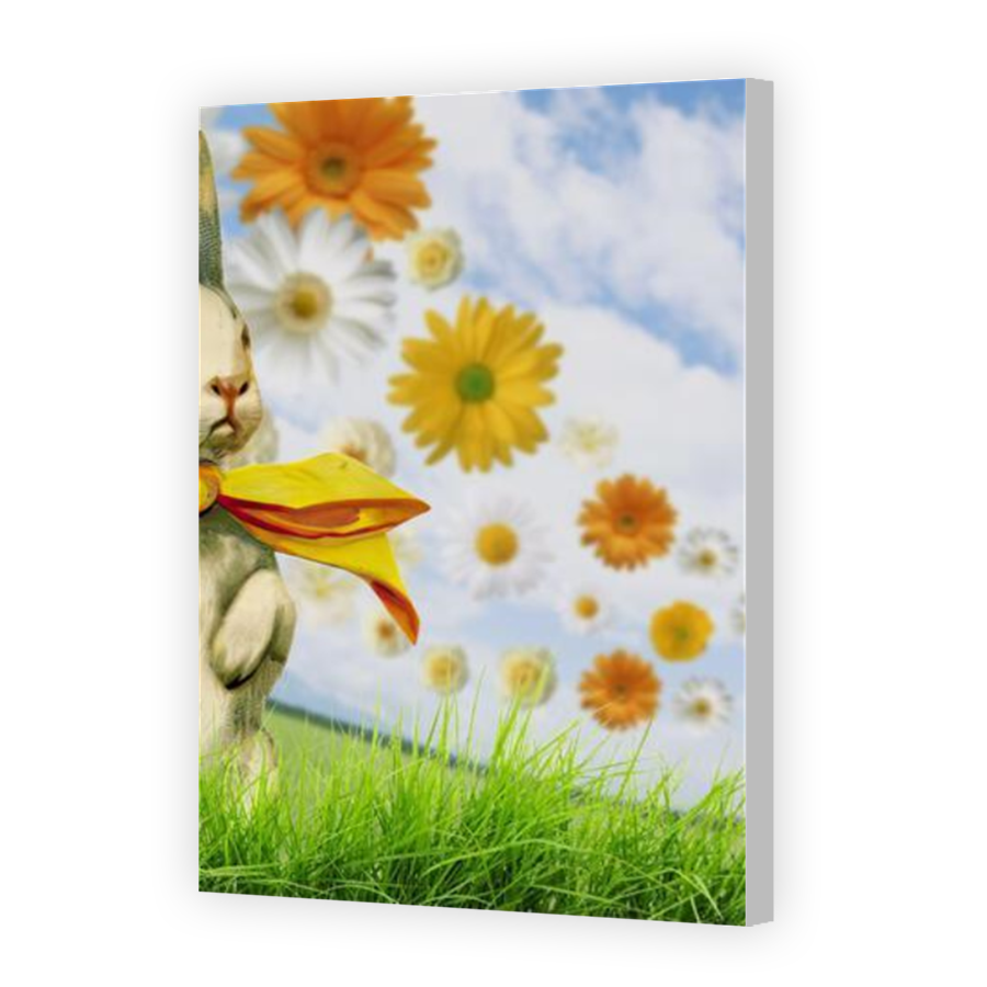 Thumbnail for Canvas - Coloured Canvas Wrap