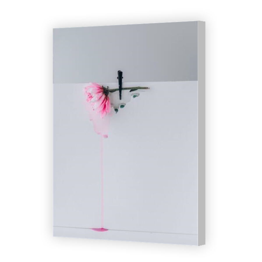 Thumbnail for Canvas - Coloured Canvas Wrap