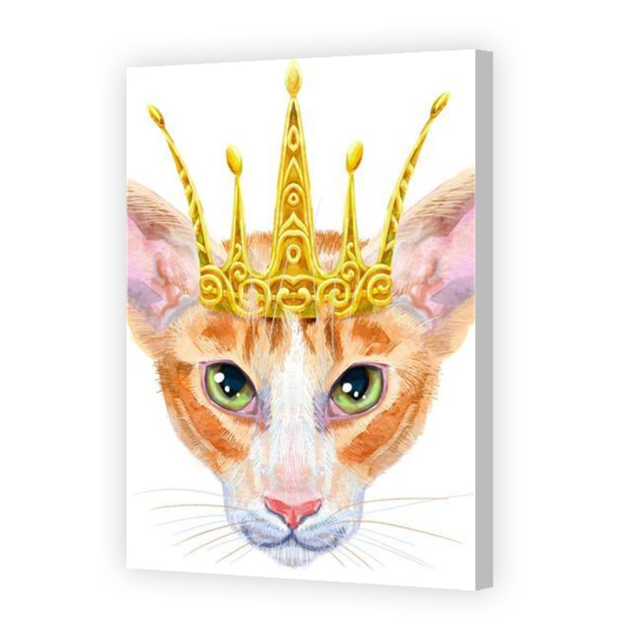 Thumbnail for Canvas - Coloured Canvas Wrap