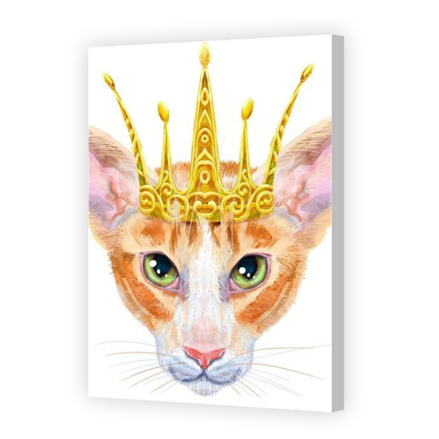 Thumbnail for Canvas - Coloured Canvas Wrap