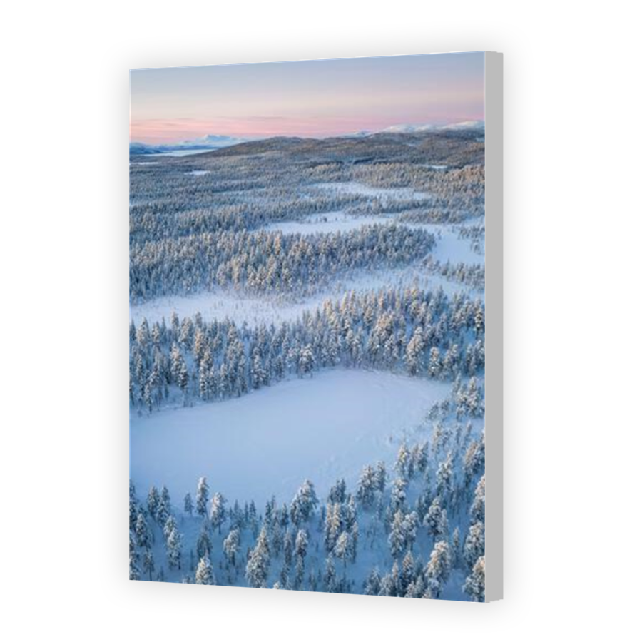 Thumbnail for Canvas - Coloured Canvas Wrap