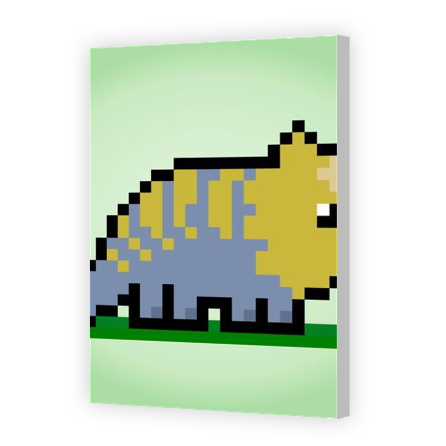 Thumbnail for Canvas - Coloured Canvas Wrap