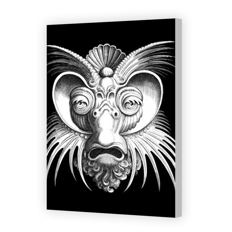 Thumbnail for Canvas - Coloured Canvas Wrap