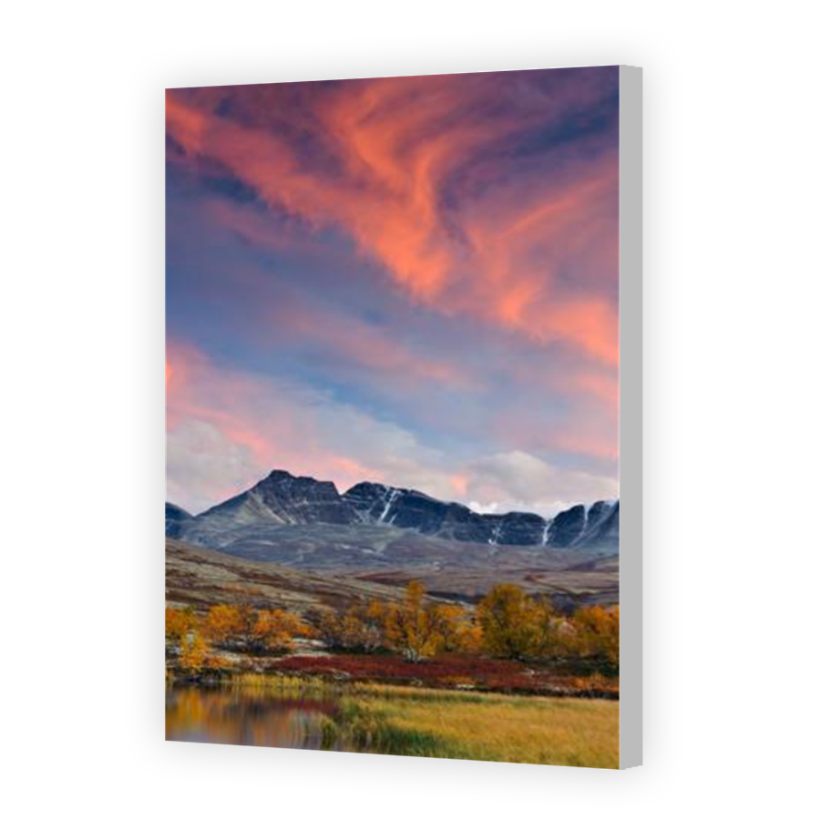 Thumbnail for Canvas - Coloured Canvas Wrap