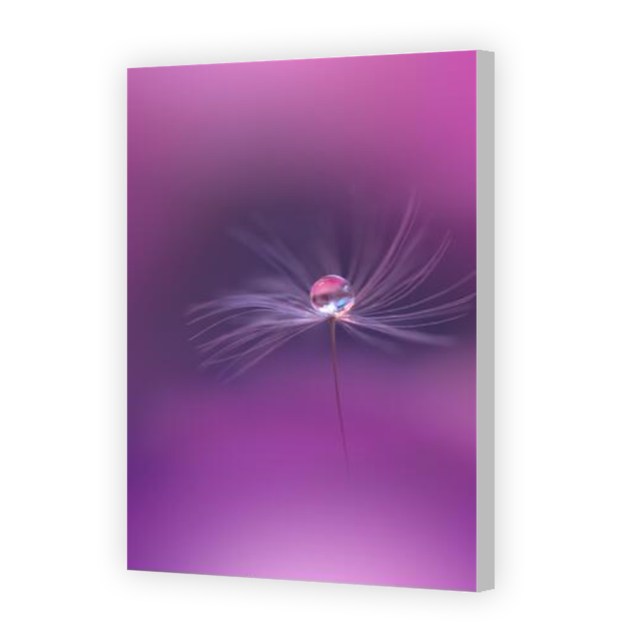 Thumbnail for Canvas - Coloured Canvas Wrap