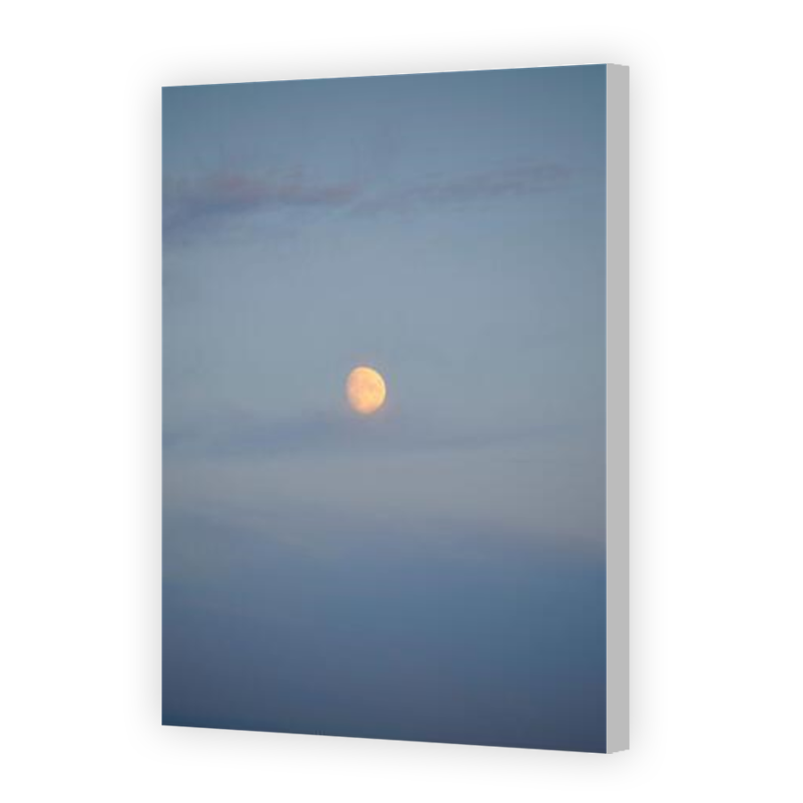 Thumbnail for Canvas - Coloured Canvas Wrap