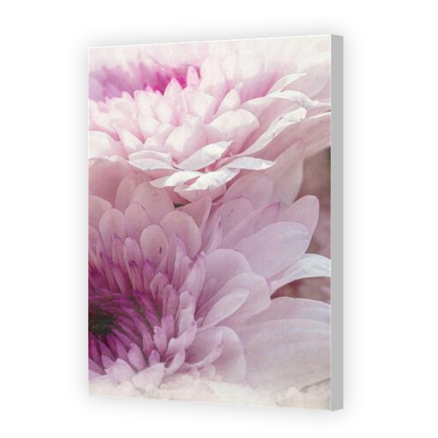 Thumbnail for Canvas - Coloured Canvas Wrap
