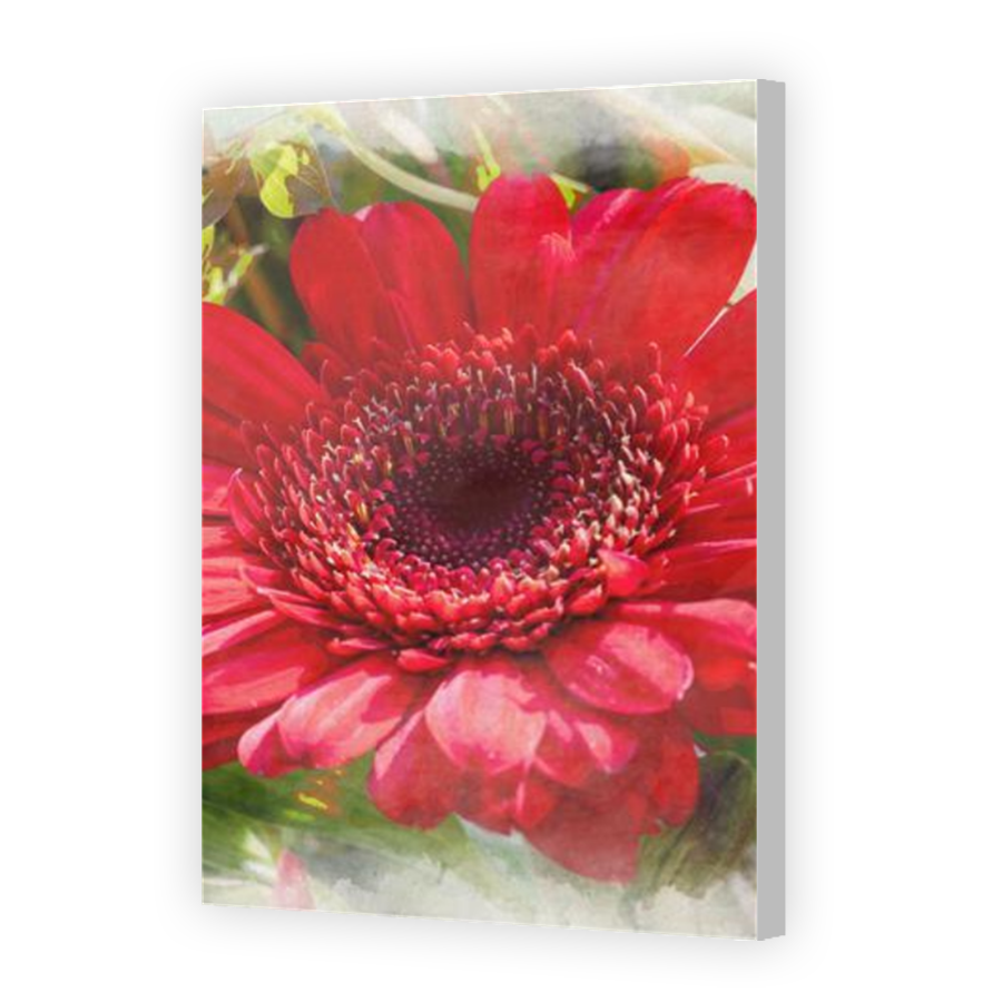 Thumbnail for Canvas - Coloured Canvas Wrap