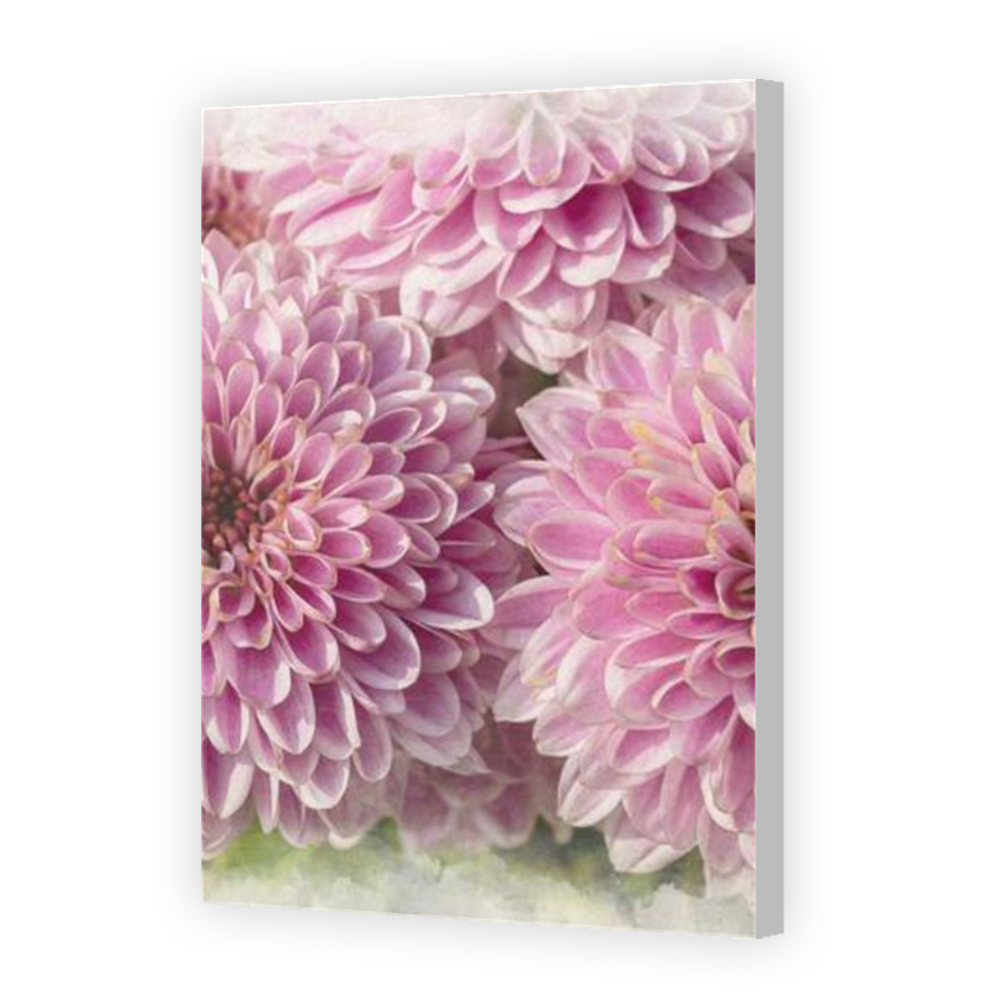 Thumbnail for Canvas - Coloured Canvas Wrap