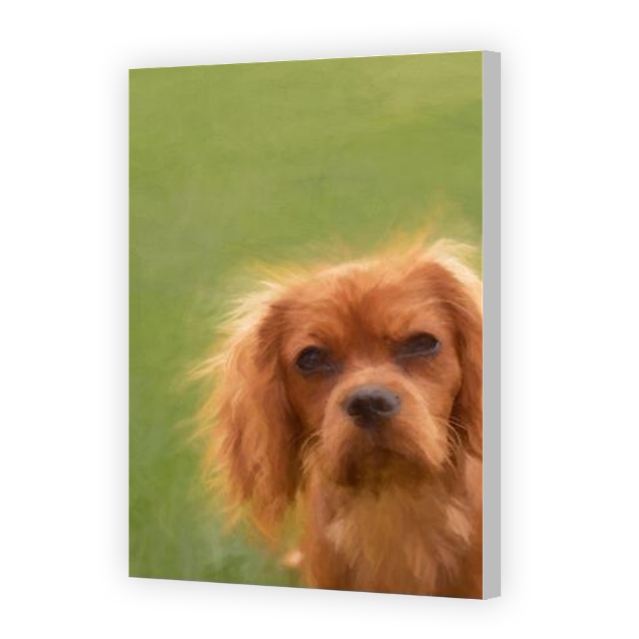 Thumbnail for Canvas - Coloured Canvas Wrap