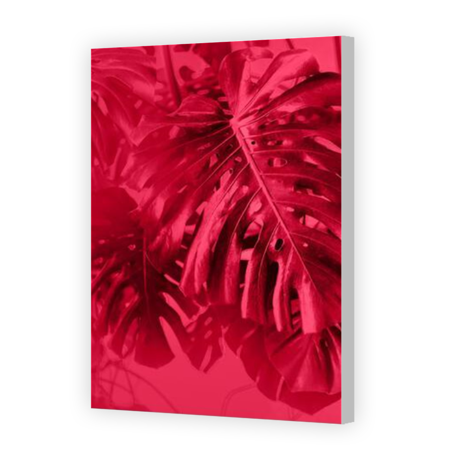 Thumbnail for Canvas - Coloured Canvas Wrap