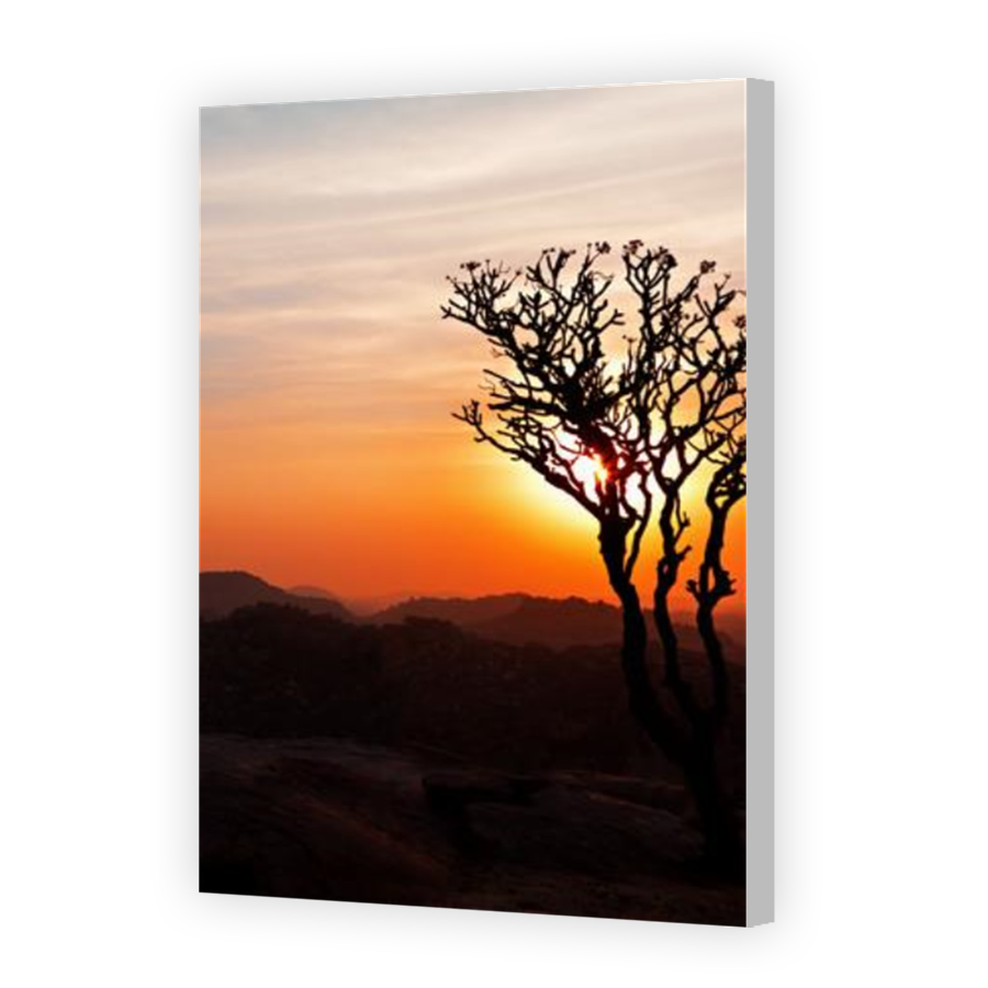 Thumbnail for Canvas - Coloured Canvas Wrap