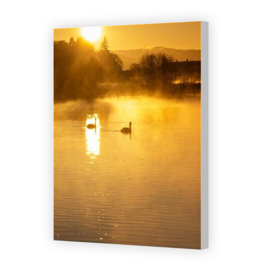 Thumbnail for Canvas - Coloured Canvas Wrap