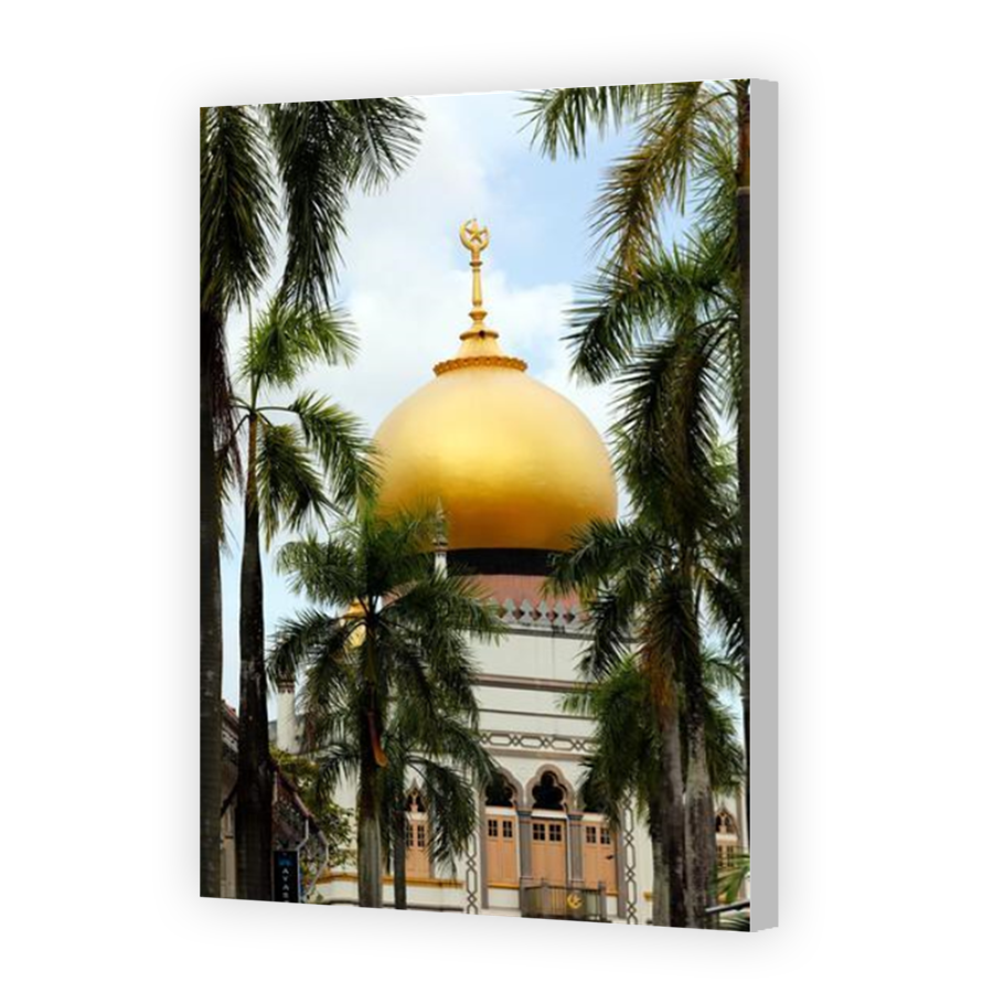 Thumbnail for Canvas - Coloured Canvas Wrap