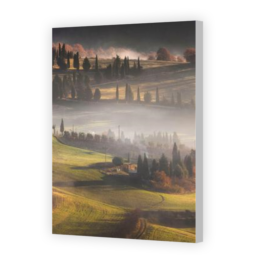 Thumbnail for Canvas - Coloured Canvas Wrap