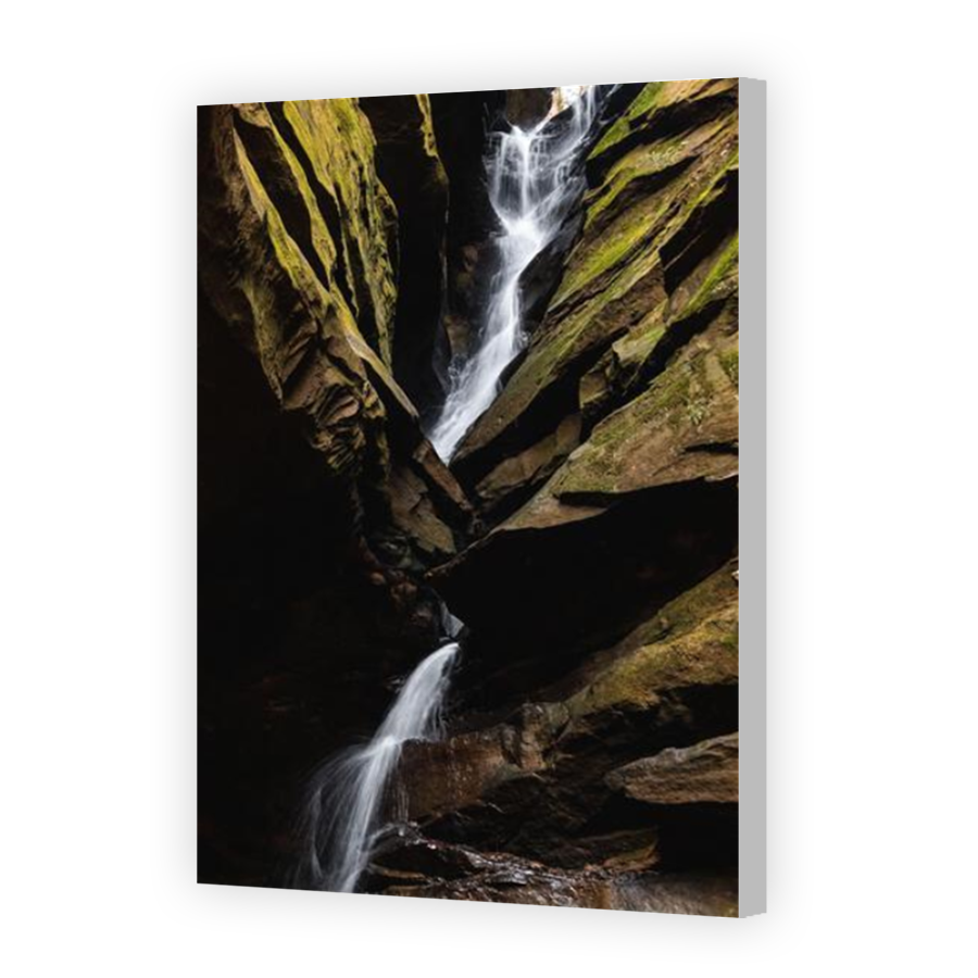 Thumbnail for Canvas - Coloured Canvas Wrap