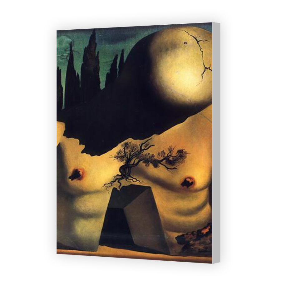 Thumbnail for Canvas - Coloured Canvas Wrap