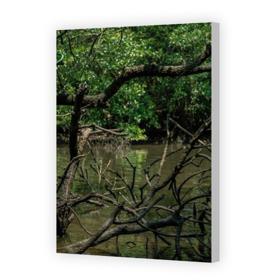 Thumbnail for Canvas - Coloured Canvas Wrap