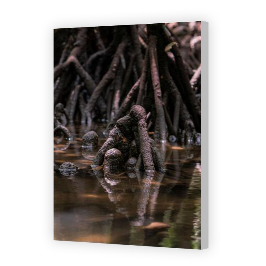 Thumbnail for Canvas - Coloured Canvas Wrap