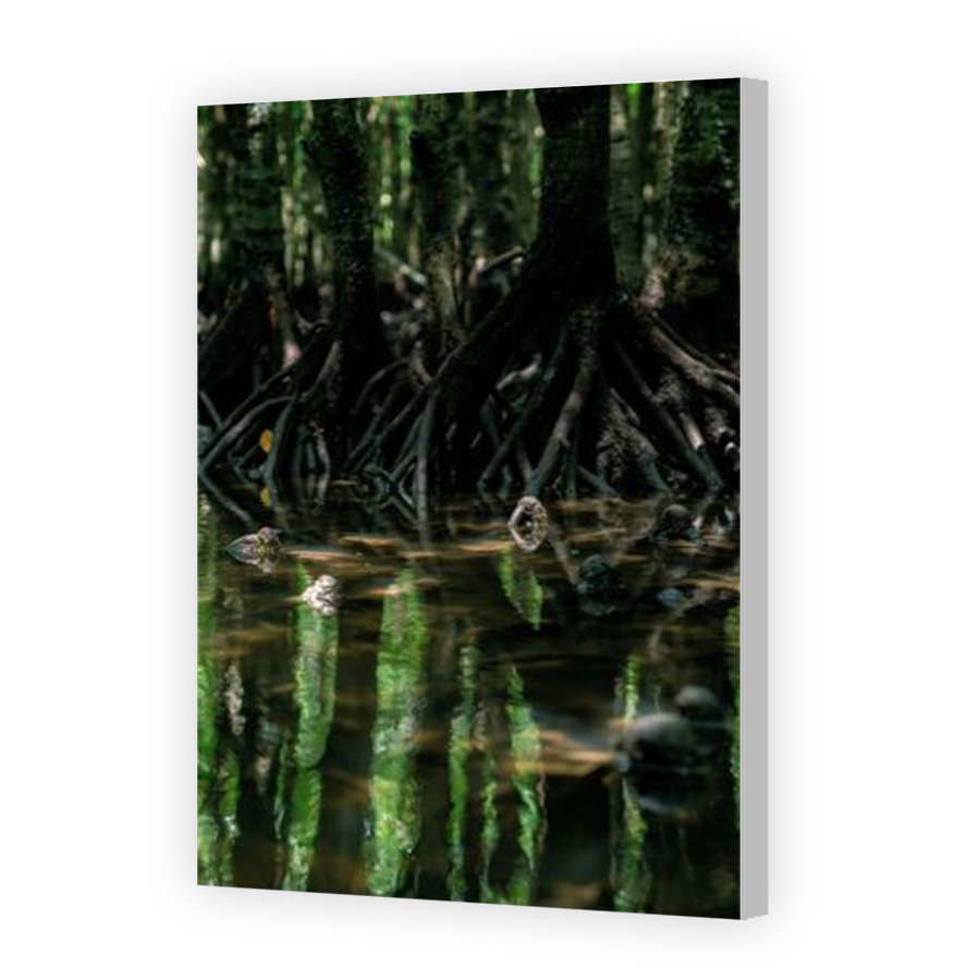 Thumbnail for Canvas - Coloured Canvas Wrap