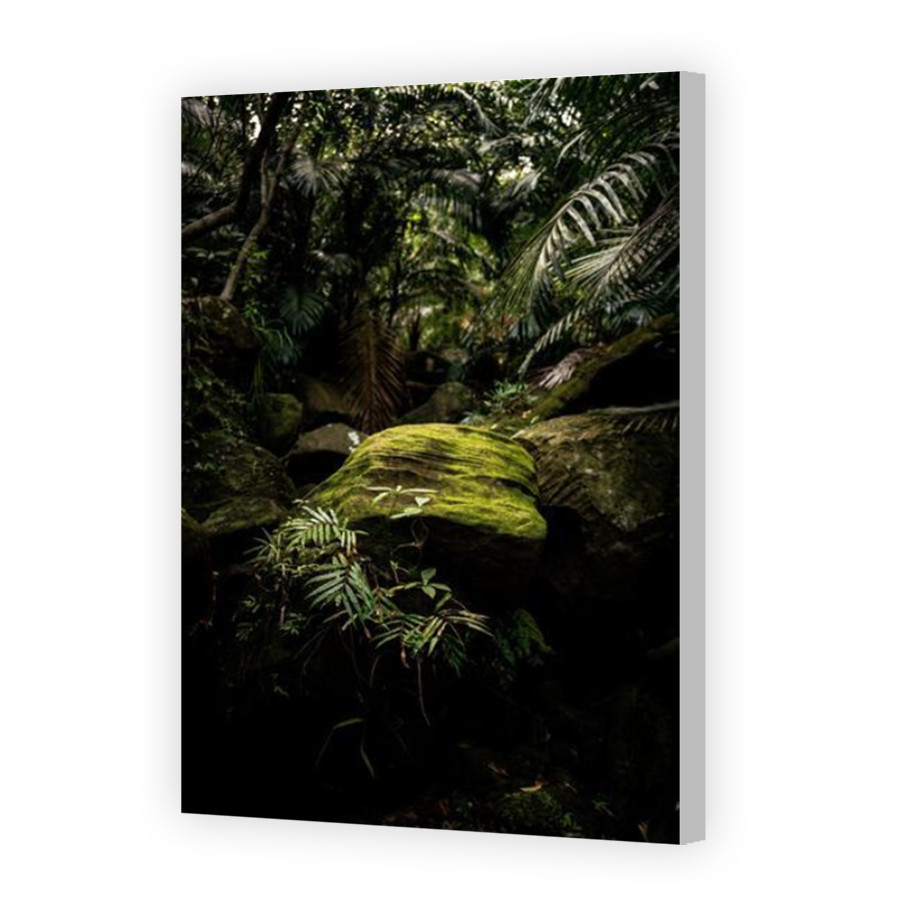 Thumbnail for Canvas - Coloured Canvas Wrap