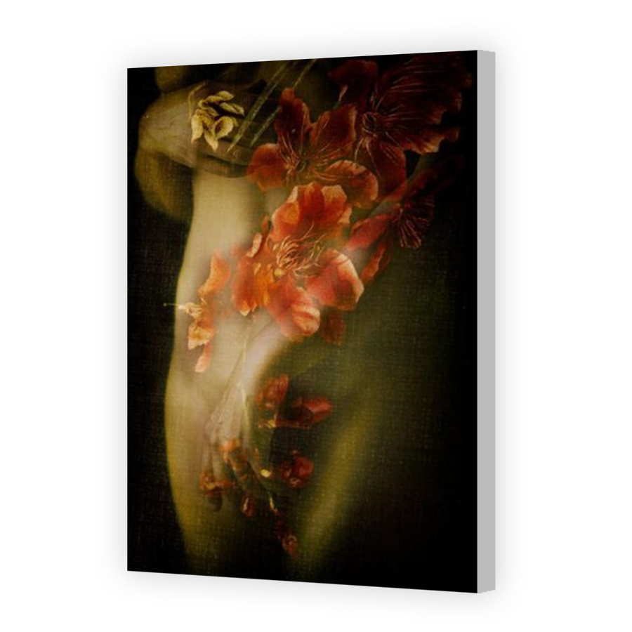Thumbnail for Canvas - Coloured Canvas Wrap