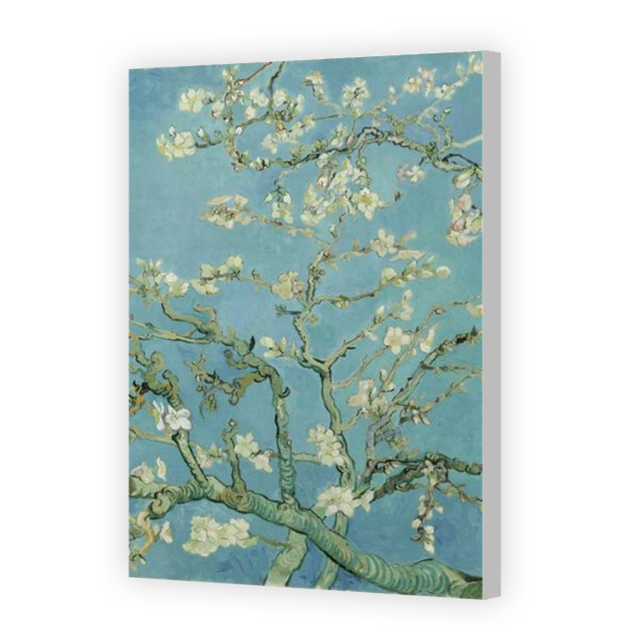 Thumbnail for Canvas - Coloured Canvas Wrap