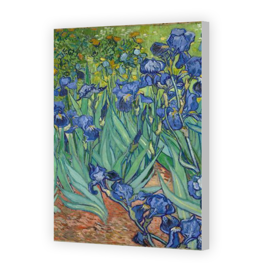 Thumbnail for Canvas - Coloured Canvas Wrap